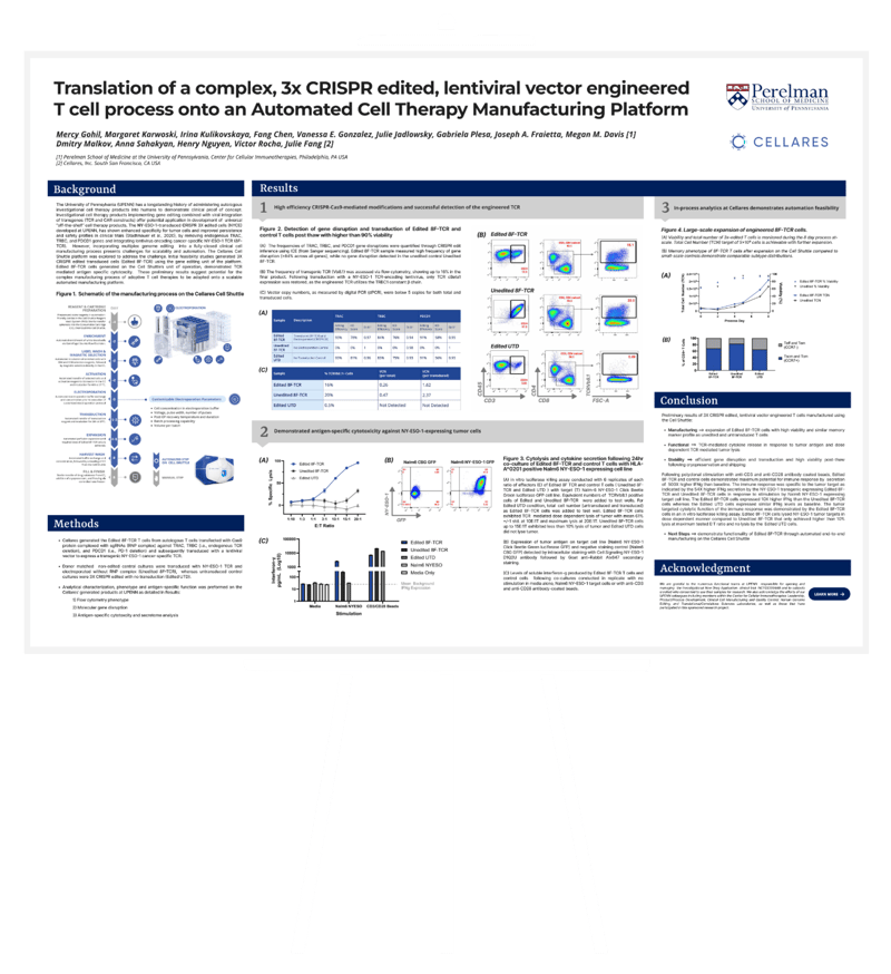 T Cell Translation Poster